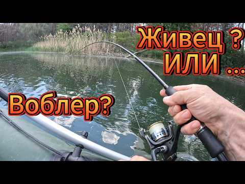 Видео: Как соблазнить капризную щуку весной.Какой Живец Лучше?