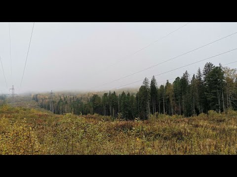 Видео: Выходной не на диване. Квадро - мото прохват до д. Подпорог на р. Кан. 