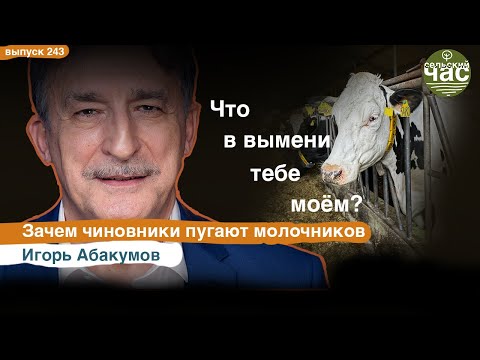 Видео: Что в вымени тебе моём? Сельский час #243 (Игорь Абакумов)