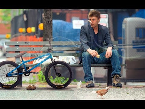 Видео: ТОП 10 ХУДШИХ BMX