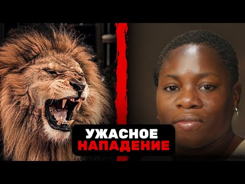 Видео: Южноафриканского Гида Разорвала на Части Стая Львов!
