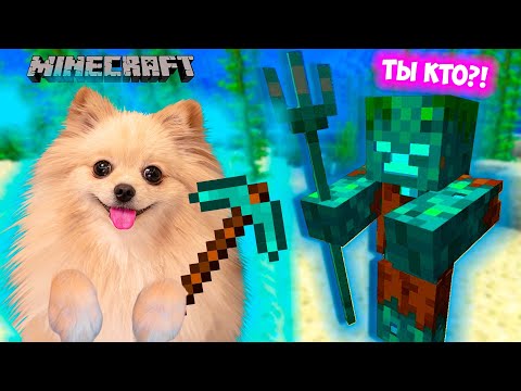 Видео: НА МЕНЯ НАПАЛ ВОДЯНОЙ В МАЙНКРАФТ ! ВЫЖИВАЮ В MINECRAFT