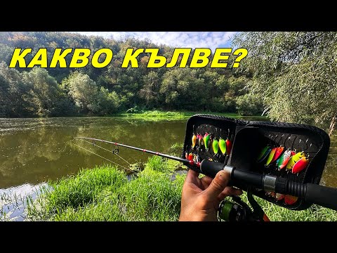 Видео: ХИЩНИЦИ по РЕКАТА яко АДРЕНАЛИН и Много РИБИ през ЕСЕНТА със СПИНИНГ ВЪДИЦА