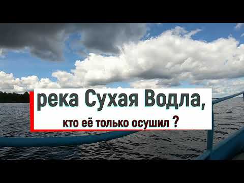 Видео: Река Сухая Водла, кто её только осушил?