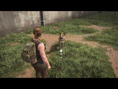 Видео: Last of Us 2, Часть 6