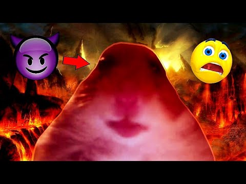 Видео: КОЙ Е НАЙ-ТЪПИЯТ ДОМАШЕН ЛЮБИМЕЦ?