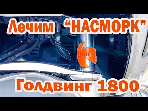 Видео: Чистка сальников вилки  голдвинг 1800
