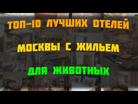 Видео: Топ-10 лучших отелей Москвы с жильем для животных