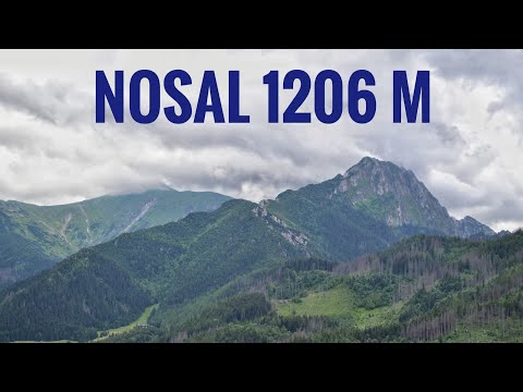Видео: Татры. Гора Носаль. Закопане июль 2020 / Nosal, Zakopane.