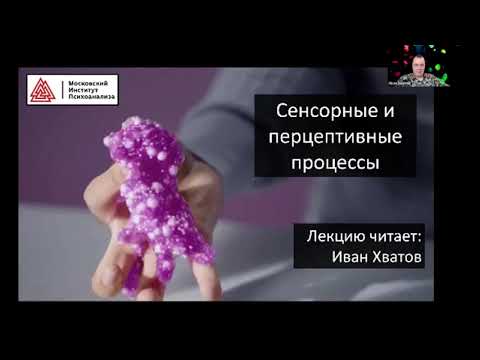 Видео: 01. Ощущение и восприятие - общая характеристика процессов (13 февраля 2023)