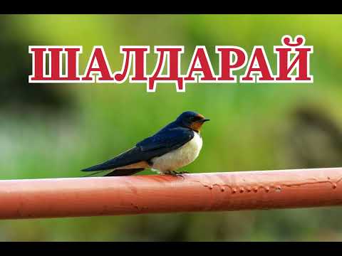 Видео: Шалдар-ай! (Қазақша аудио кітап)