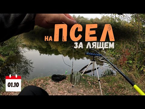 Видео: Осіння Риболовля на Пслі | У Пошуках Ляща