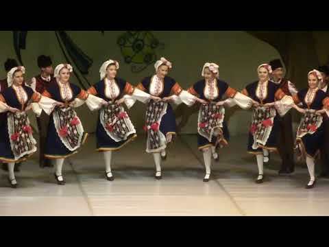 Видео: Копаница