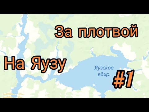 Видео: За плотвой на Яузское водохранилище с ночевкой. Часть 1.