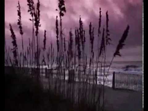 Видео: Братья Гаязовы "Верните в моду любовь"