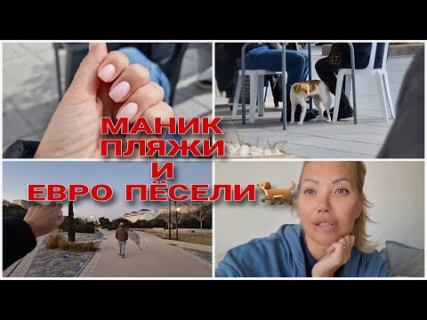 Видео: СОБИРАЕМСЯ УЕЗЖАТЬ В ПИТЕР/ПАРК ЗА ДОМОМ С ВЫГУЛОМ СОБАЧЕК И ФОНТАНЧИКАМИ/ПРОЕХАЛИСЬ ПО ПЛЯЖАМ🌞