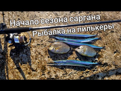 Видео: Начало сезона саргана, ловля носатого на пилькер. Рыбалка в Сочи