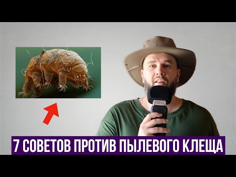 Видео: Как избавиться от пылевого клеща?