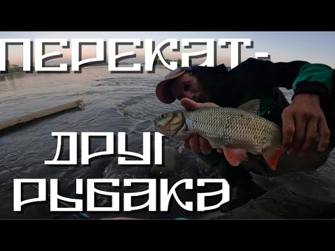 Видео: 👌ХОРОШИЙ КЛЁВ! Ждал судака, а увидел ВСЕХ кого возможно! Спиннинг с берега в черте Города.