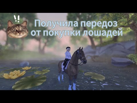 Видео: Покупка фризов 2 и 3.5 поколений / стар стейбл онлайн