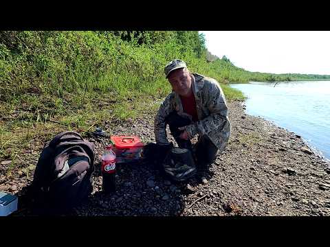 Видео: Наловили столько рыбы, что еле вынес / Окунь каждый заброс / Не рыбалка, а мечта