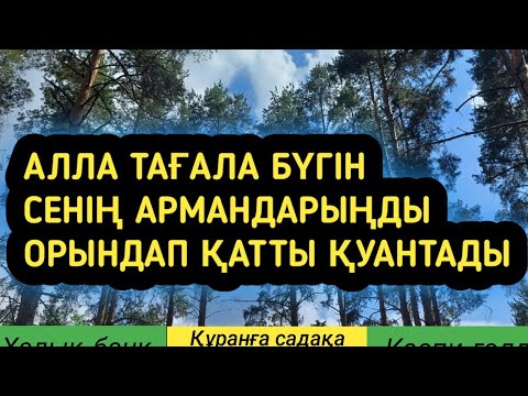 Видео: Бүгін құдай сенің армандарыңды орындап қуантады иншалла