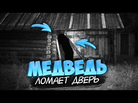 Видео: Медведь лезет в избу.Подствольный фонарь. Жизнь в тайге.