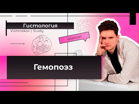 Видео: Гистология | ГЕМОПОЭЗ