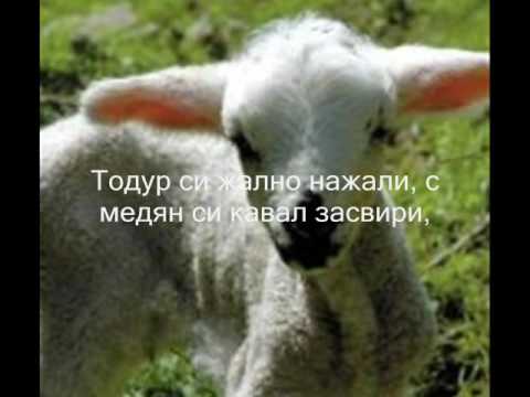 Видео: ЗАБЛЕЯЛО МИ Е АГЪНЦЕ Борис Машалов