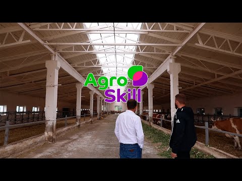 Видео: Нива - прогрессивное хозяйство Воронежской области