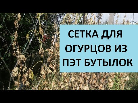 Видео: Сделай зимой и пользуйся летом. Сетка для огурцов из ПЭТ бутылок.