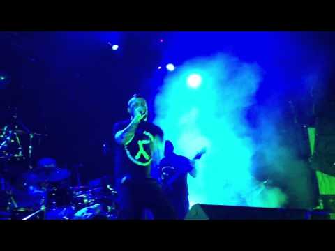 Видео: ТОЛ - Клей.Мо (live@StereoPlaza)