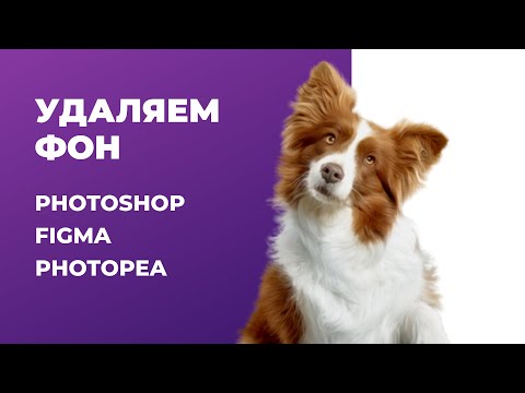 Видео: Как вырезать изображение от фона | Photoshop, Figma, Photopea, Remove Bg