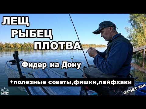 Видео: Лещ,рыбец и крупная плотва на фидер.Рыбалка на Дону.