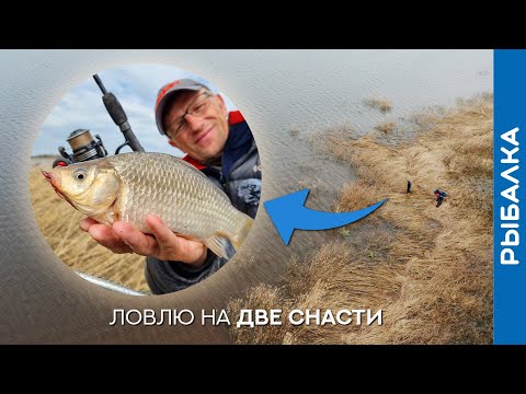 Видео: ФЛЭТ или ФИДЕР? Проверю по весеннему карасю!