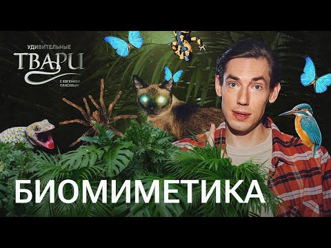 Видео: Какие идеи современная наука и инженерия берет из живой природы? // Удивительные твари