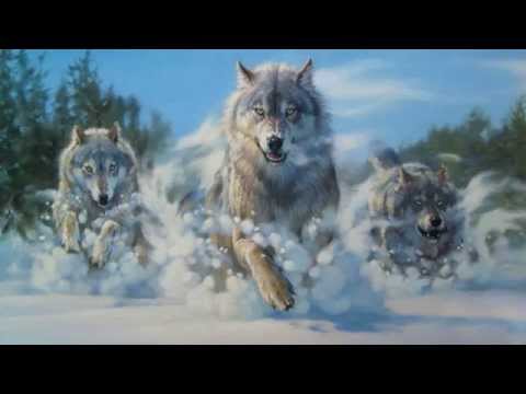 Видео: Волчья стая (45-я ОБрСпН ВДВ)