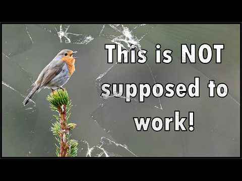 Видео: Я нарушил правило выдержки… и получил резкие фотографии на 900 мм!