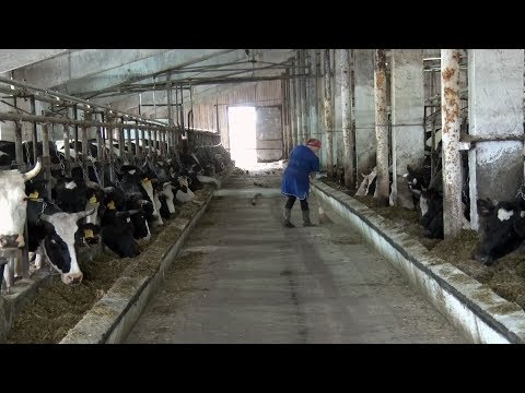 Видео: Моя профессия - Фермер