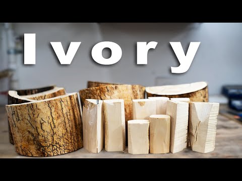 Видео: Бивень мамонта: вырезаем заготовки для ножей