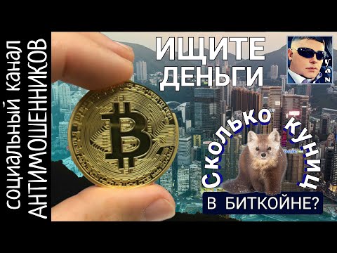 Видео: Директор землетрясений троллит мошенника /СКАМ: вызов принят!