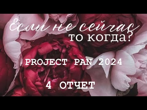 Видео: Бесконечный PROJECT PAN 2024 Отчет 4