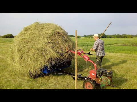 Видео: Сенокос  мотоблоком "Салют-100" с роторной косилкой " Заря". Заготовка сена на зиму.