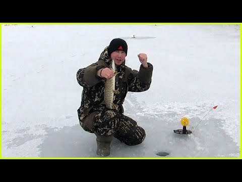 Видео: Рыбалка в карьере. Жерлицы. Последняя рыбалка в этом году