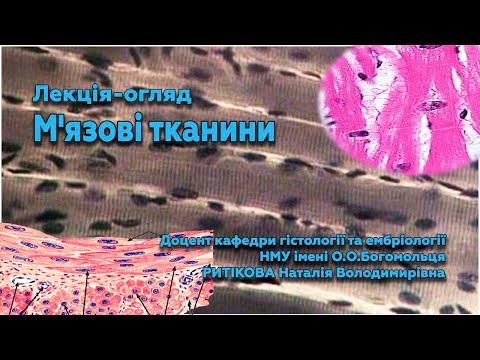 Видео: Лекція огляд М'язові тканини