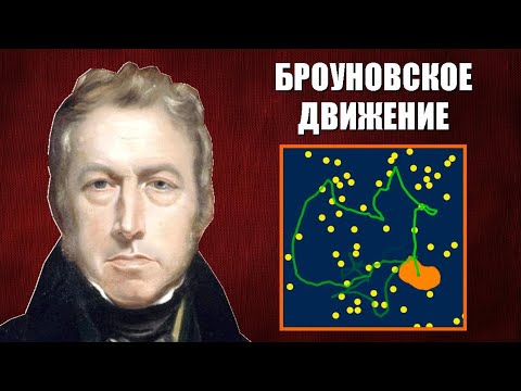 Видео: Броуновское движение