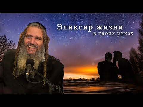 Видео: Рав Шалом Аруш | Эликсир жизни - в твоих руках