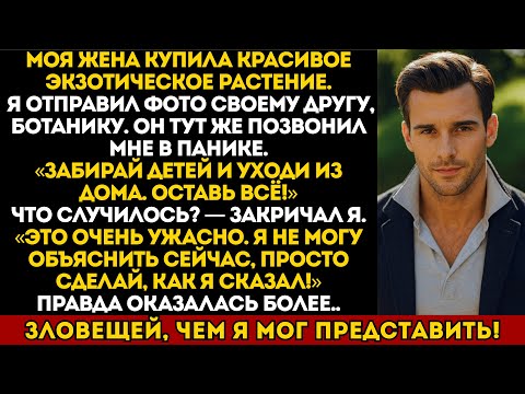 Видео: Моя жена купила новое растение, друг увидел его и сказал: «уходи из дома, иначе ты не проснёшься»
