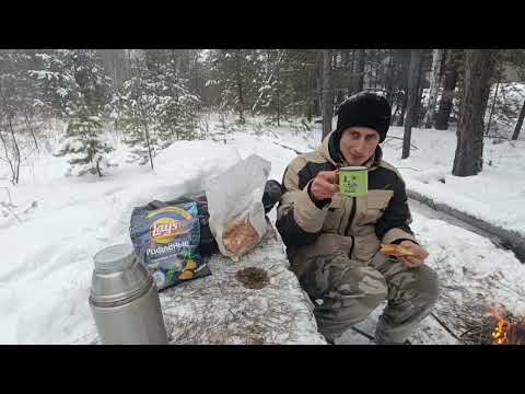 Видео: Первая небольшая зимняя прогулка с костром