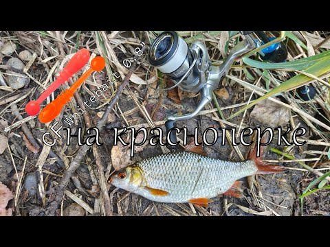 Видео: Мормышинг в полнолуние: красноперки,окуни и щука. Только хардкор, ищем рыбу и на что клюёт!#рыбалка